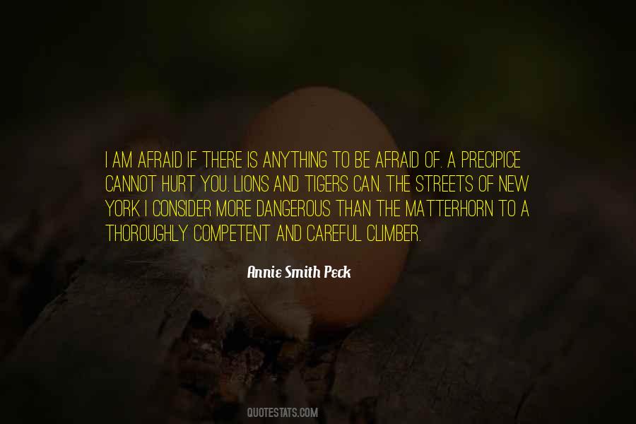 Annie Smith Peck Quotes #1105032