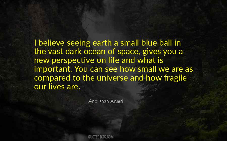 Anousheh Ansari Quotes #1294748