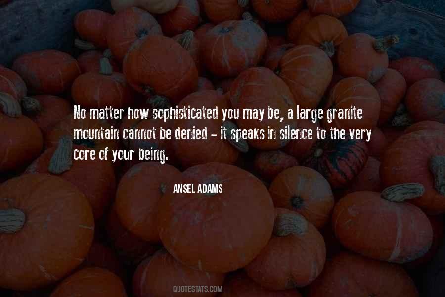 Ansel Adams Quotes #304918