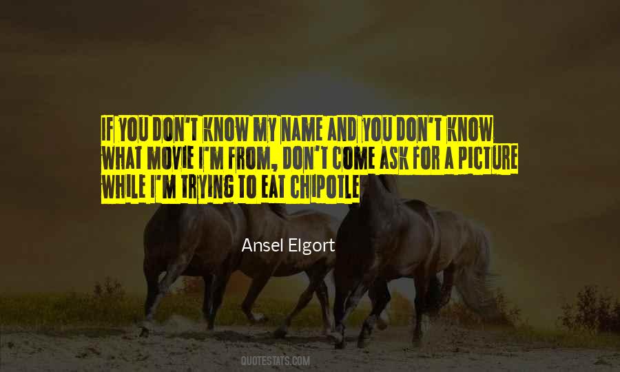 Ansel Elgort Quotes #435842
