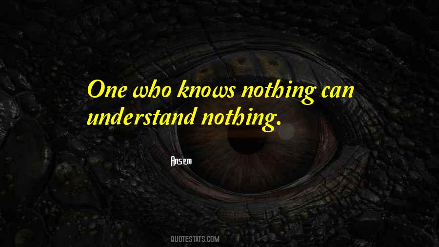 Ansem Quotes #490337 Ansem Quotes #490337