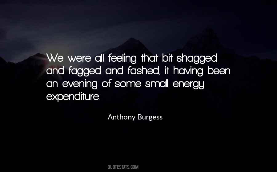 Anthony Burgess Quotes #1778054