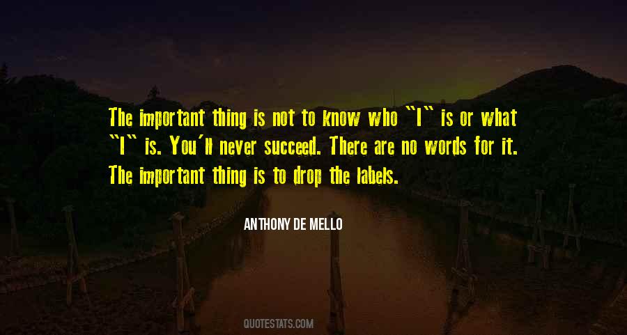 Anthony De Mello Quotes #319447