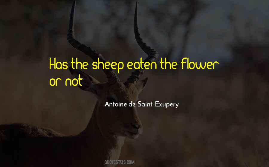 Antoine De Saint-Exupery Quotes #1746054