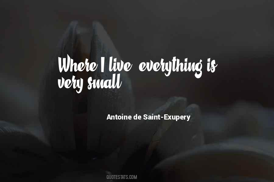 Antoine De Saint-Exupery Quotes #91015