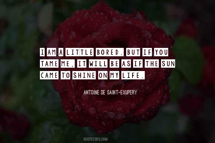 Antoine De Saint-Exupery Quotes #95307