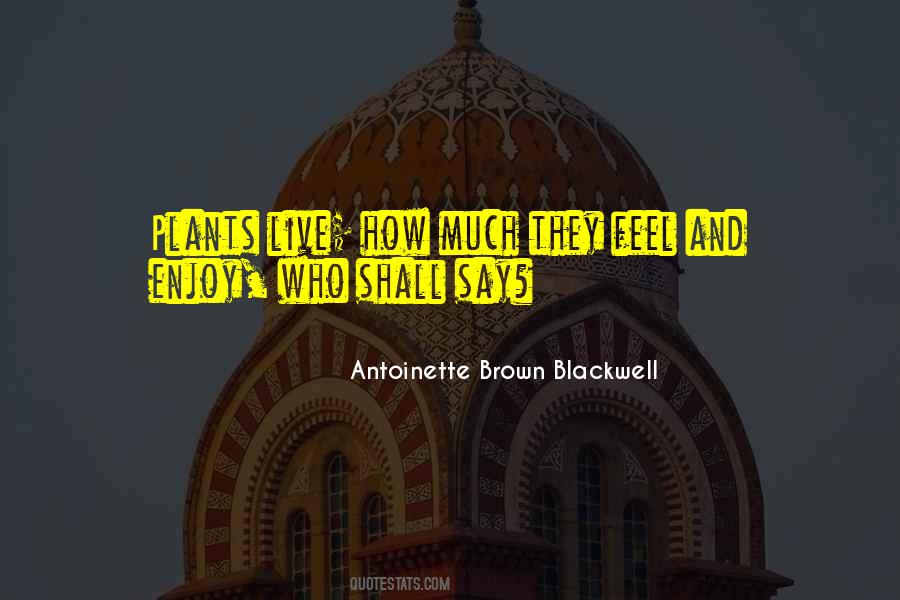 Antoinette Brown Blackwell Quotes #417743