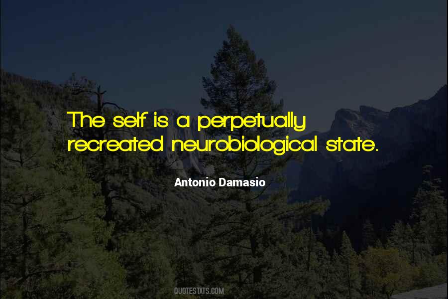 Antonio Damasio Quotes #1105471