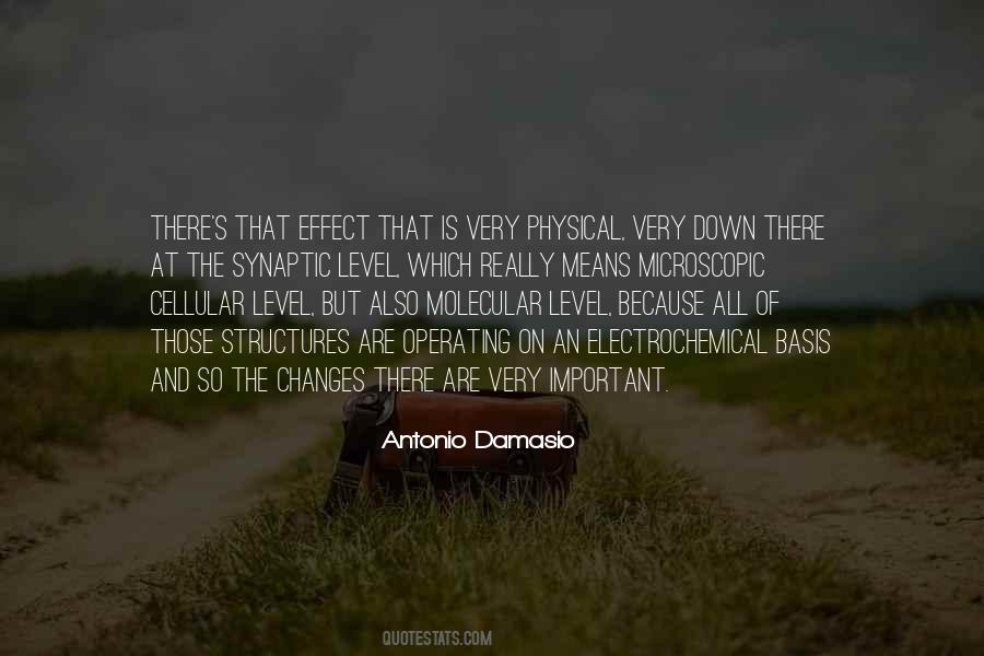 Antonio Damasio Quotes #117776