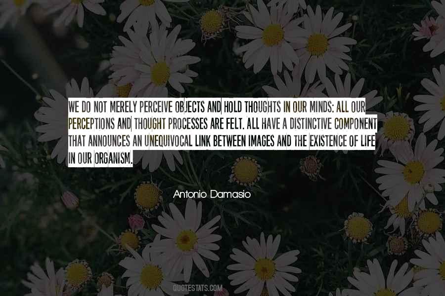 Antonio Damasio Quotes #784238