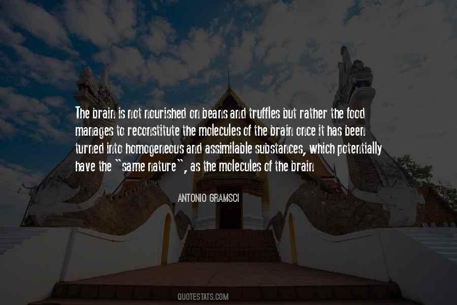 Antonio Gramsci Quotes #988179