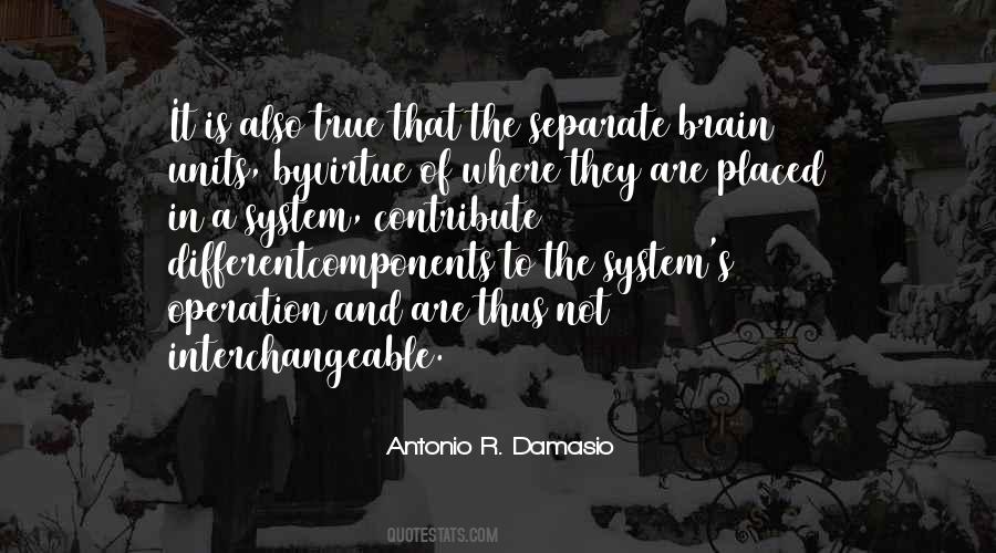 Antonio R. Damasio Quotes #1236134