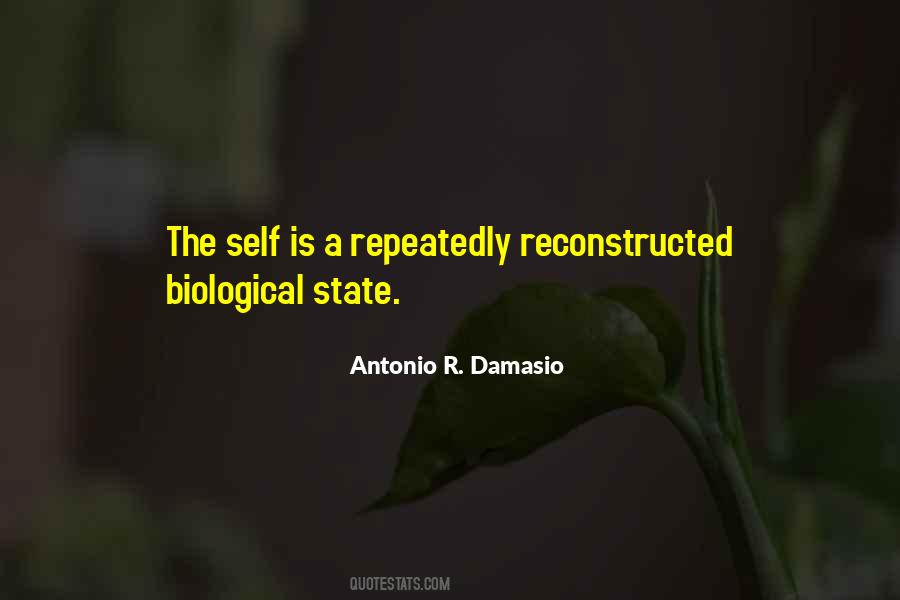 Antonio R. Damasio Quotes #731867