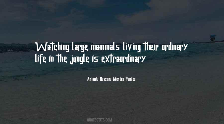 Antonio Rossano Mendes Pontes Quotes #77813