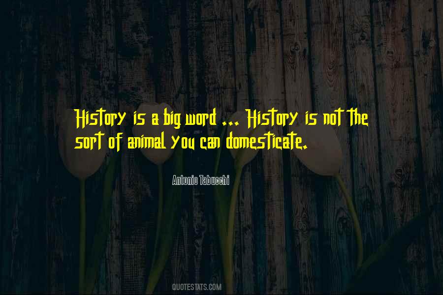 Antonio Tabucchi Quotes #1844170