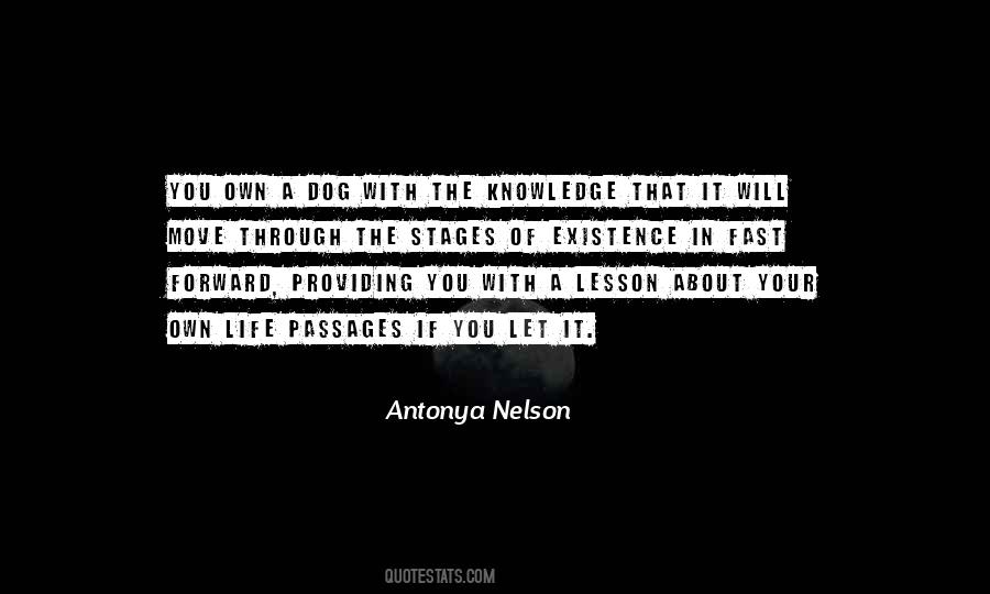 Antonya Nelson Quotes #1149707