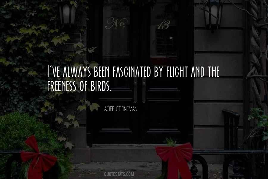 Aoife O'Donovan Quotes #1502063