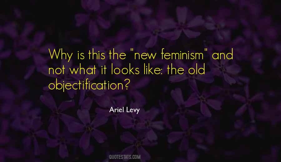 Ariel Levy Quotes #1869754