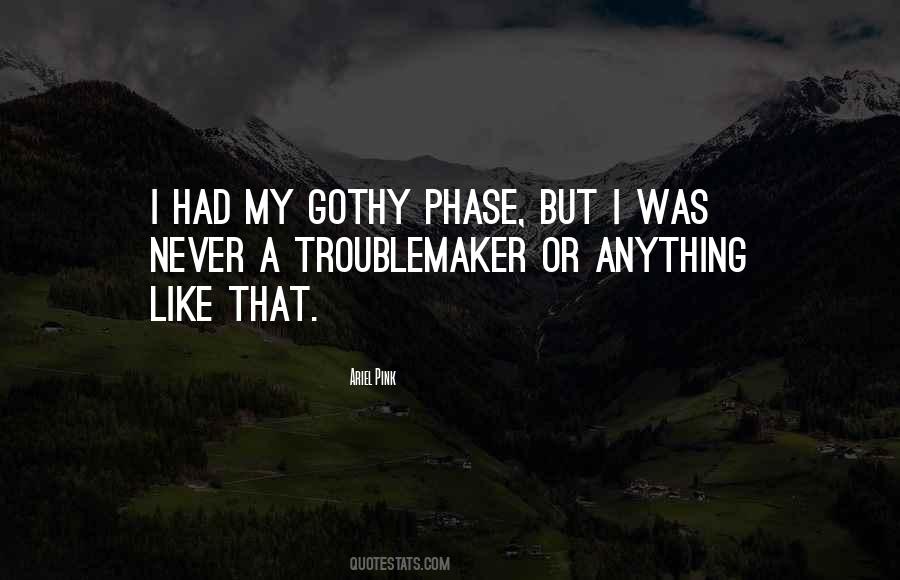 Ariel Pink Quotes #102461