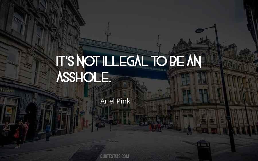 Ariel Pink Quotes #1027611