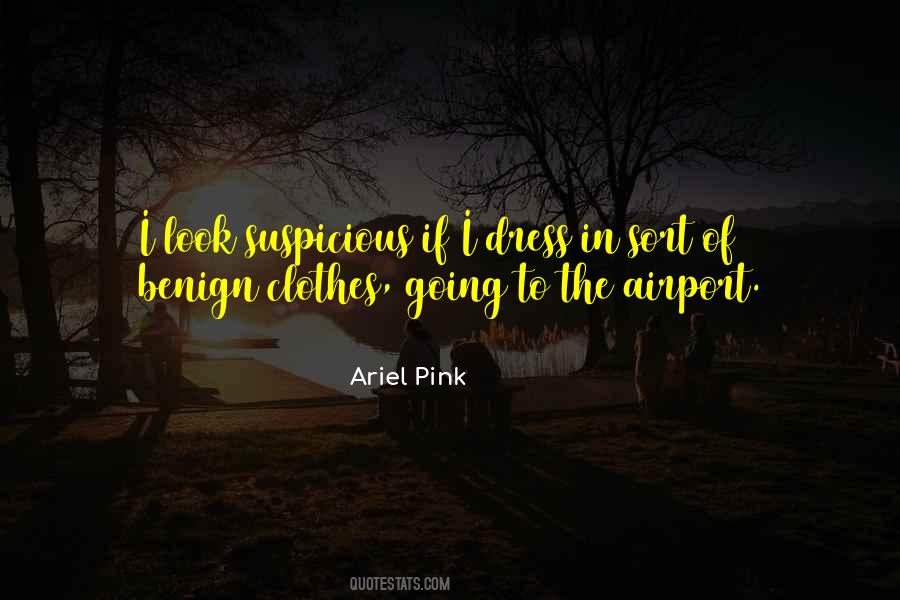 Ariel Pink Quotes #1759066
