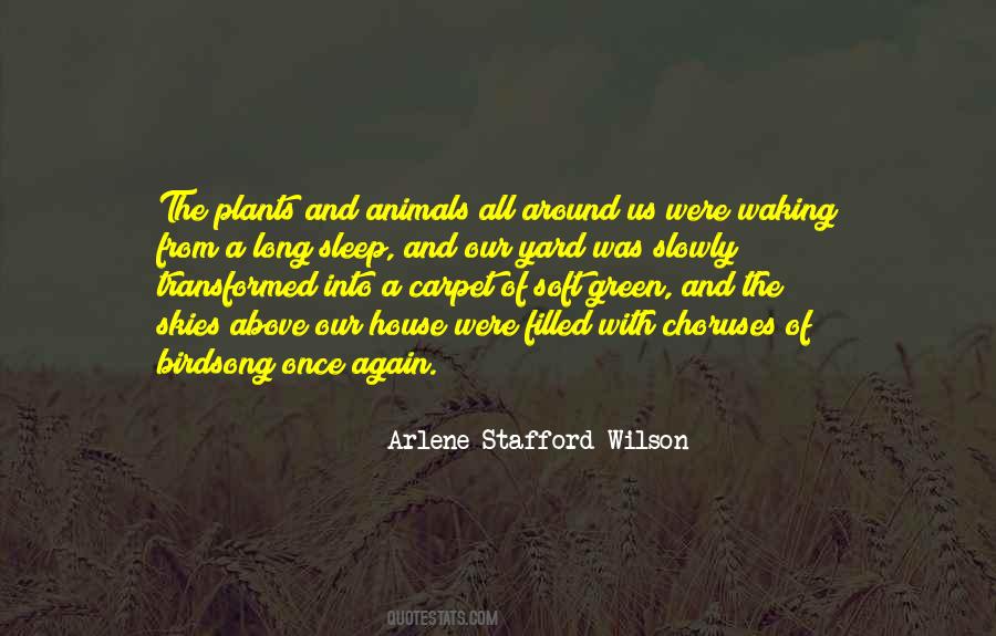 Arlene Stafford-Wilson Quotes #162660