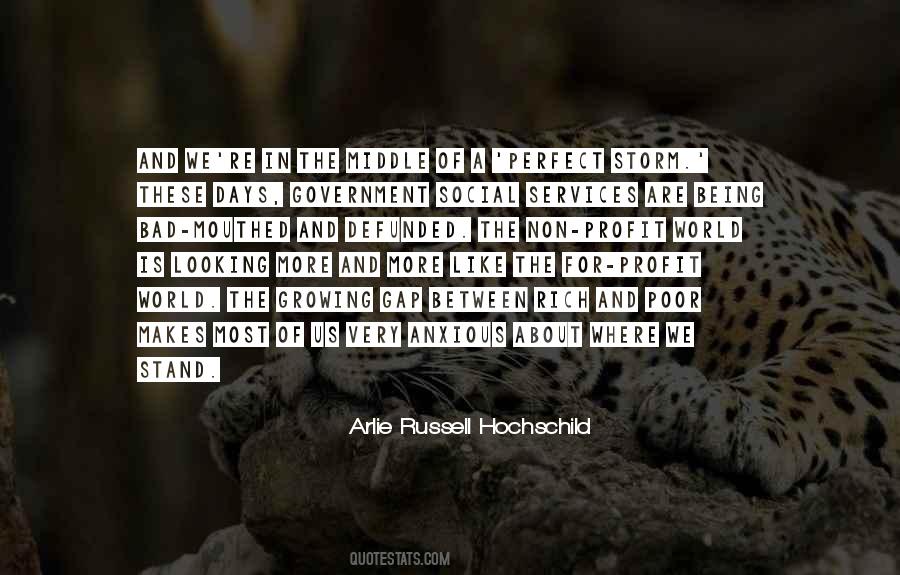 Arlie Russell Hochschild Quotes #932861