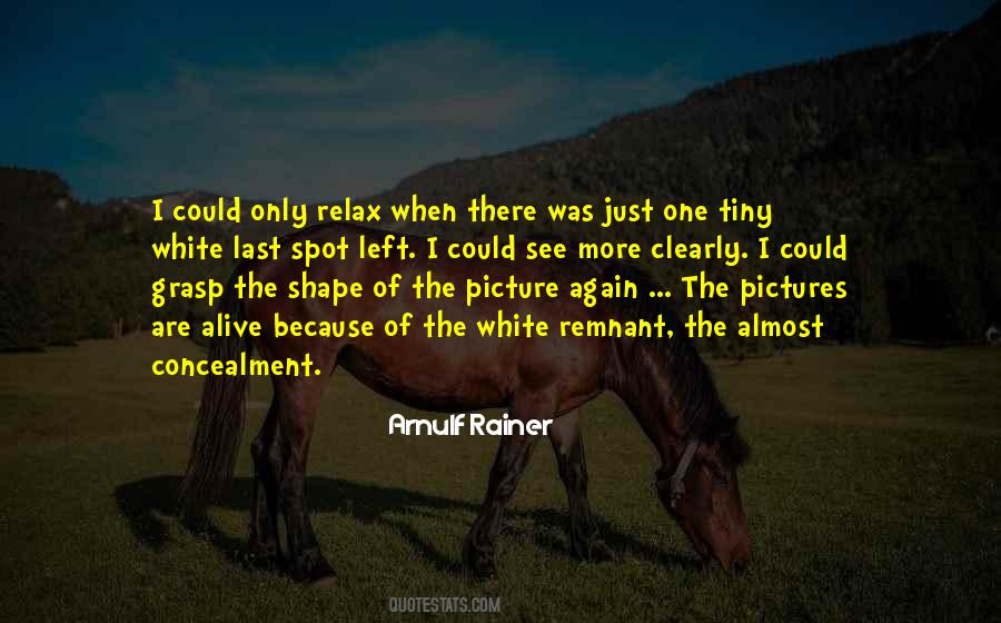 Arnulf Rainer Quotes #1062148