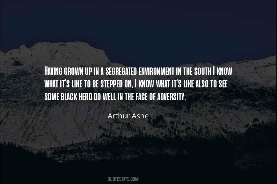 Arthur Ashe Quotes #498836