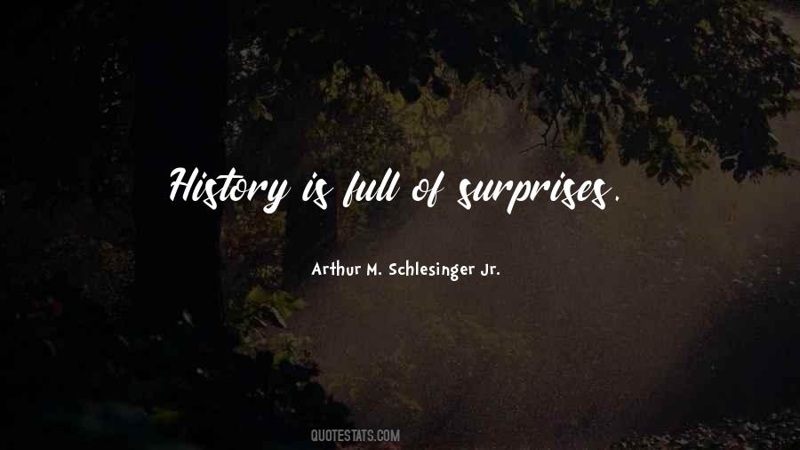 Arthur M. Schlesinger Jr. Quotes #611527