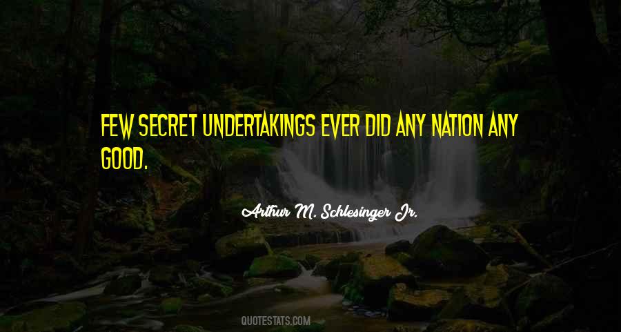 Arthur M. Schlesinger Jr. Quotes #876854