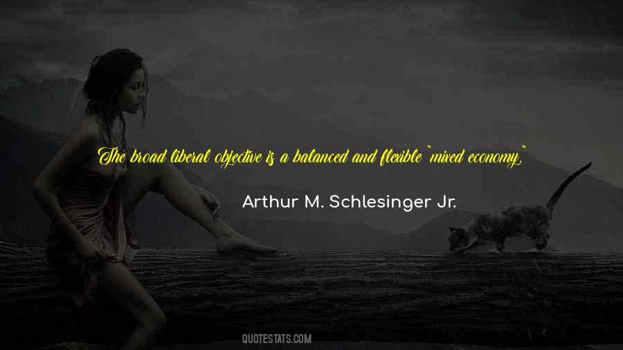 Arthur M. Schlesinger Jr. Quotes #88246