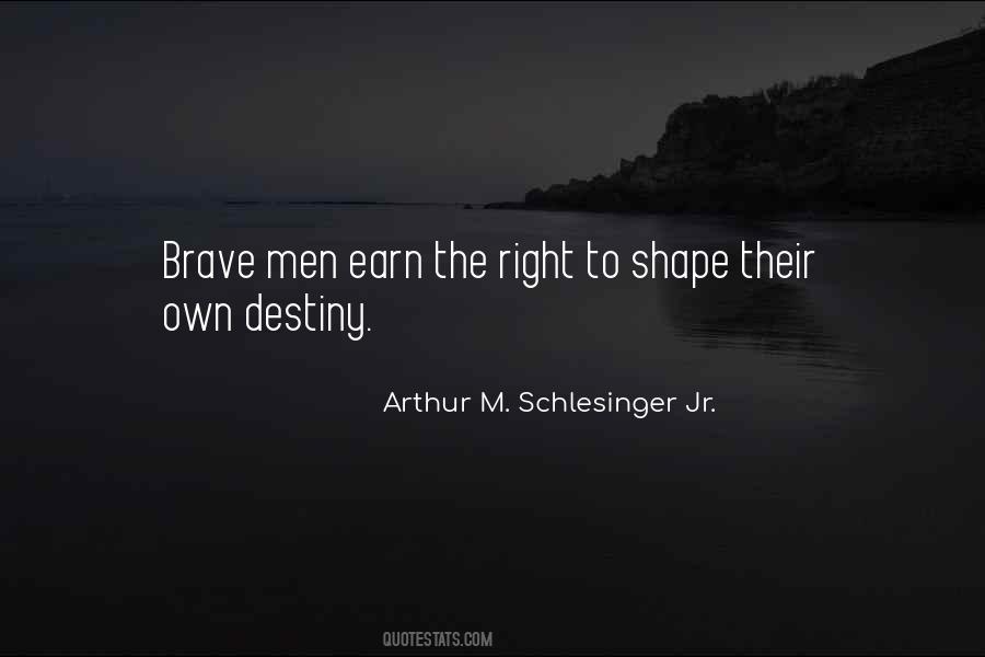 Arthur M. Schlesinger Jr. Quotes #91503