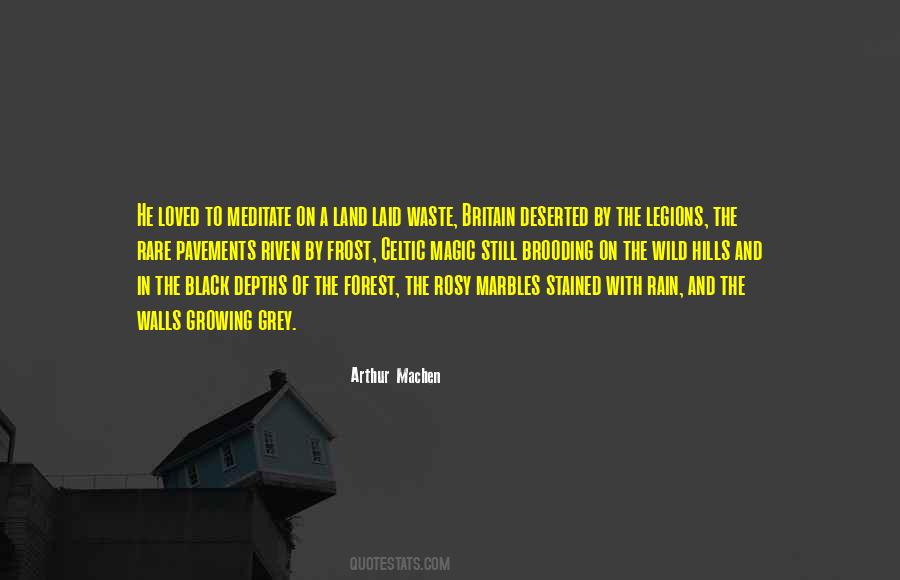 Arthur Machen Quotes #1009593