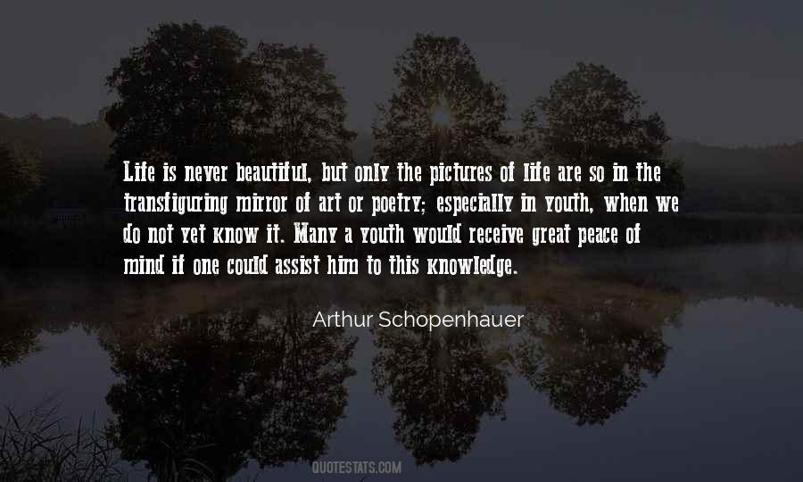 Arthur Schopenhauer Quotes #171119