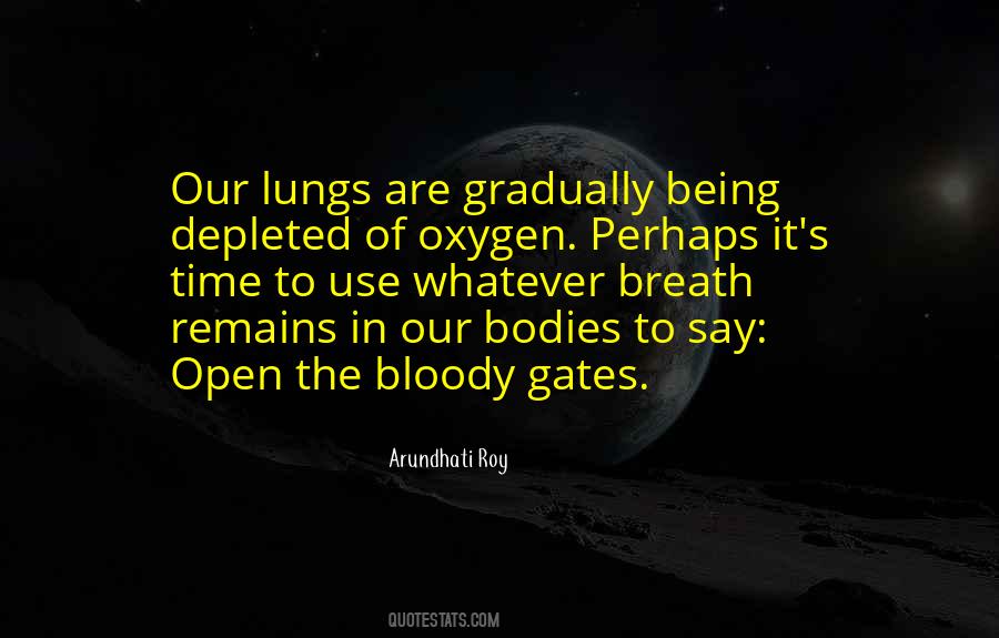 Arundhati Roy Quotes #220786