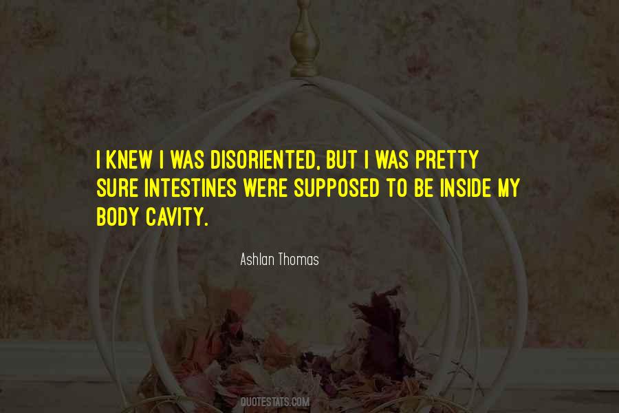 Ashlan Thomas Quotes #1546626