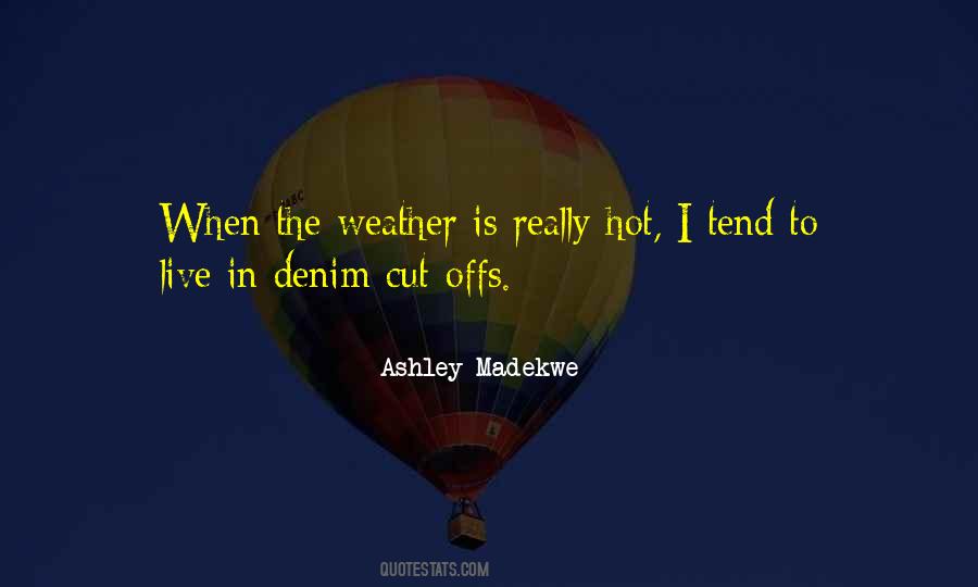 Ashley Madekwe Quotes #1138984