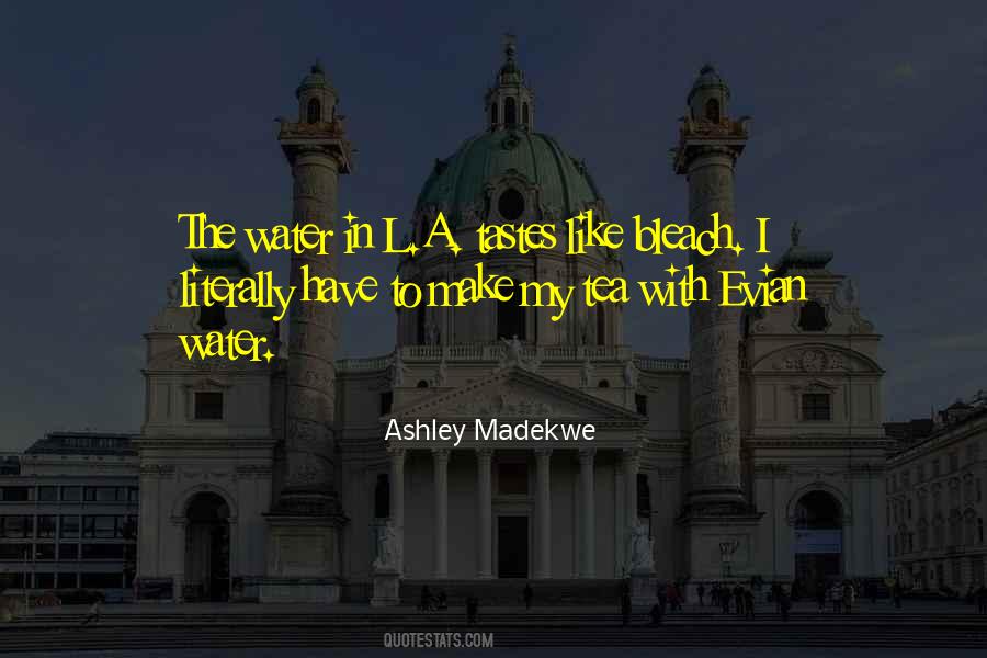 Ashley Madekwe Quotes #436092