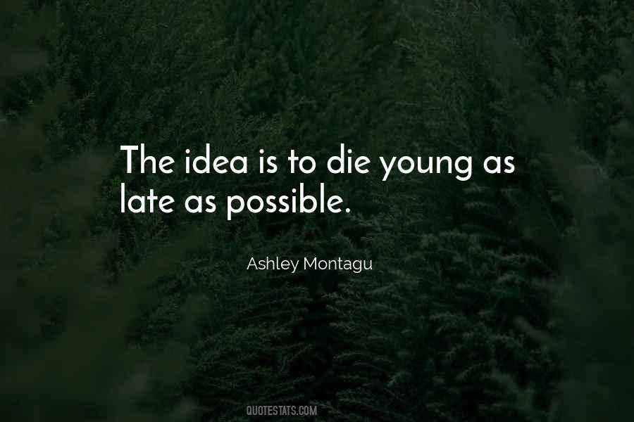 Ashley Montagu Quotes #1852583