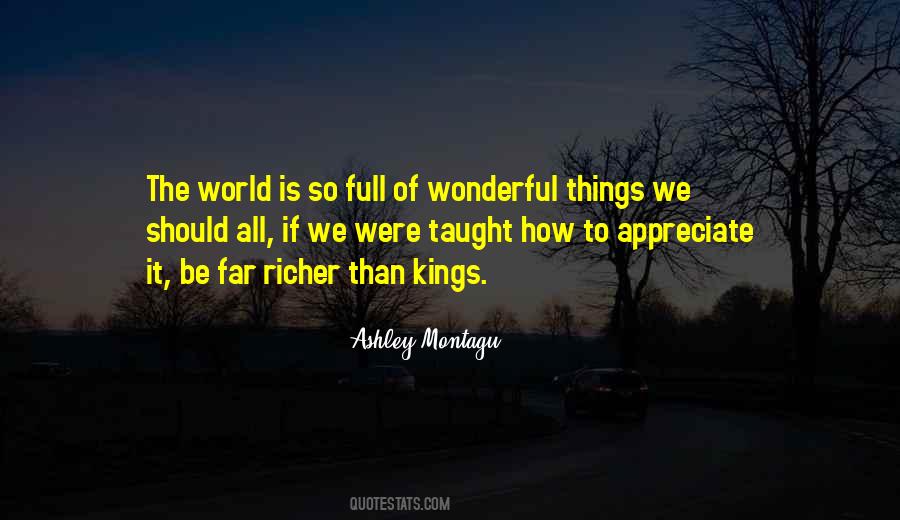 Ashley Montagu Quotes #594636