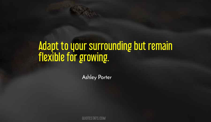Ashley Porter Quotes #949853
