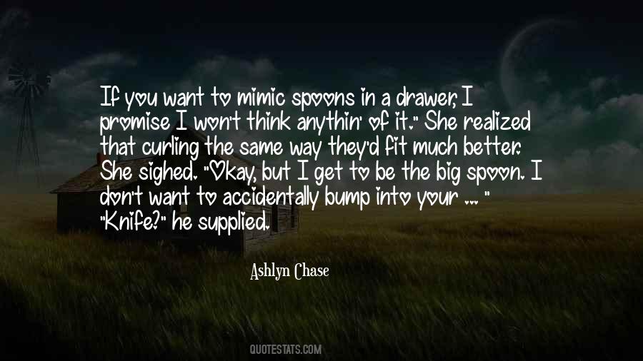 Ashlyn Chase Quotes #27424