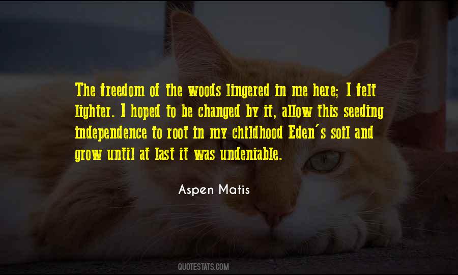 Aspen Matis Quotes #1309782