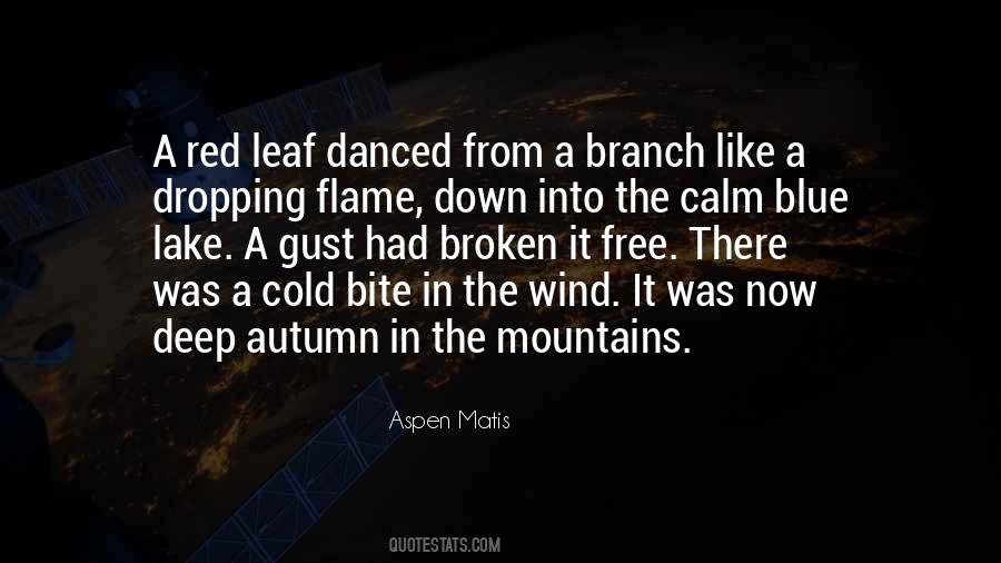 Aspen Matis Quotes #1760913