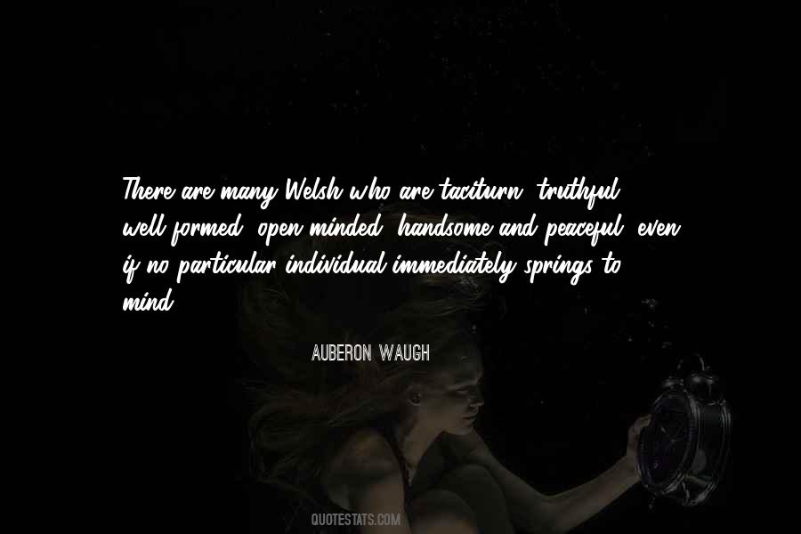 Auberon Waugh Quotes #159993