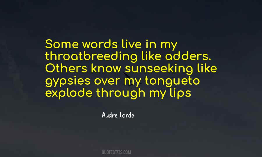 Audre Lorde Quotes #1573443