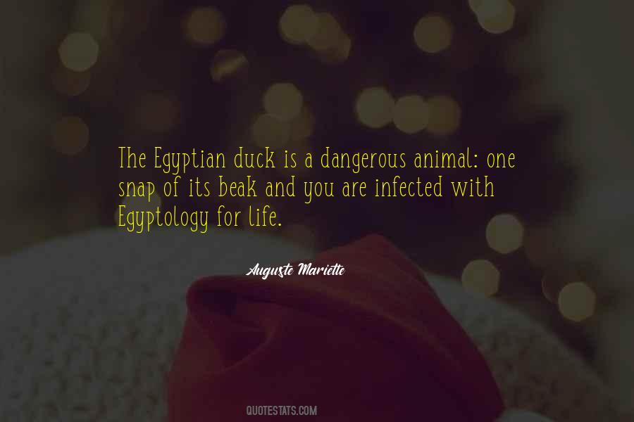 Auguste Mariette Quotes #278476 Auguste Mariette Quotes #278476