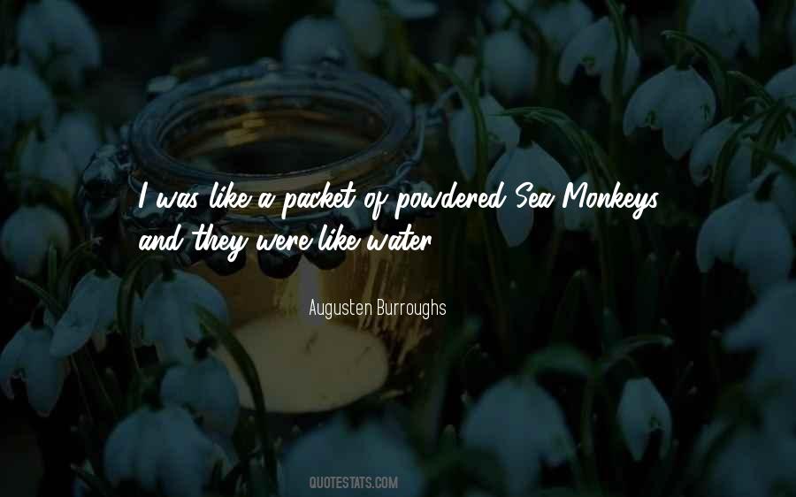 Augusten Burroughs Quotes #1329939