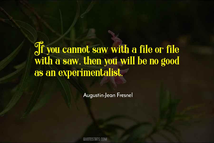 Augustin-Jean Fresnel Quotes #1222434